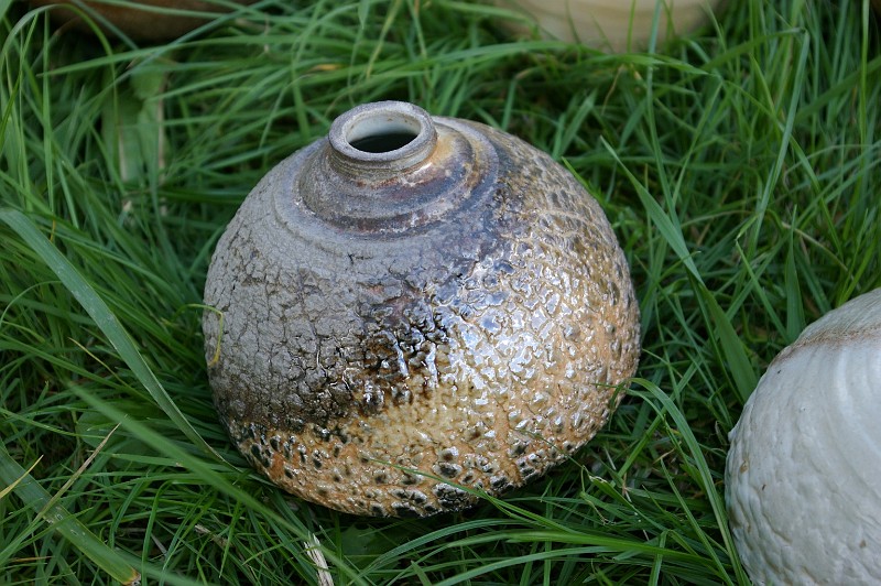 IMGP8352